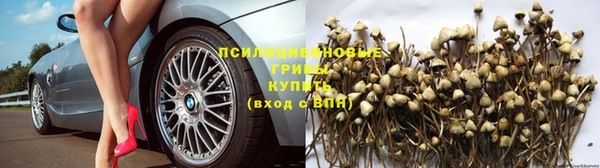 мяу мяу кристалл Кинешма
