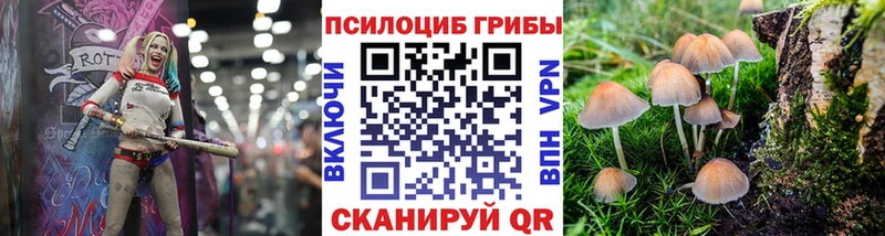 Псилоцибиновые грибы прущие грибы Купить Михайловка